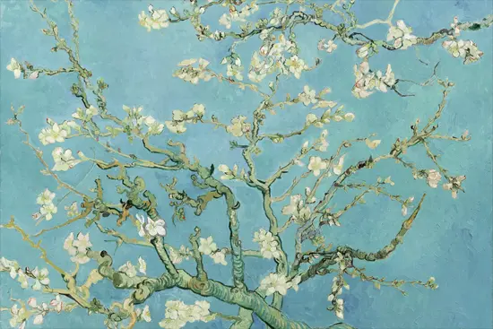 Le Musée Van Gogh à Amsterdam