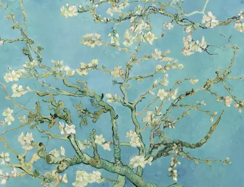 Le Musée Van Gogh à Amsterdam