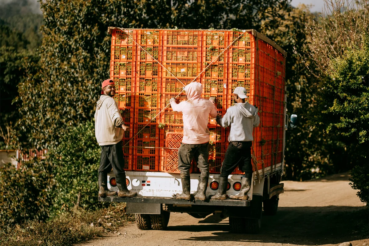 Se déplacer en République dominicaine