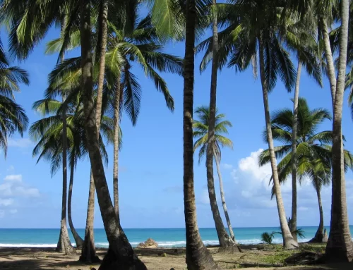 Las Terrenas en République dominicaine