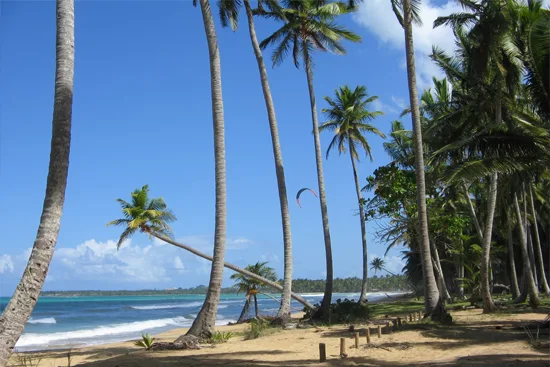 Las Terrenas en République dominicaine