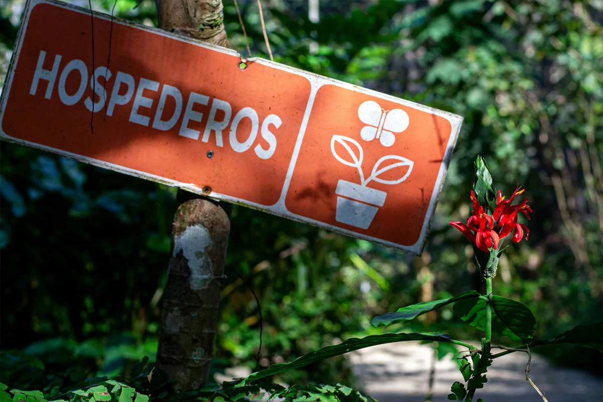 Nature en République dominicaine