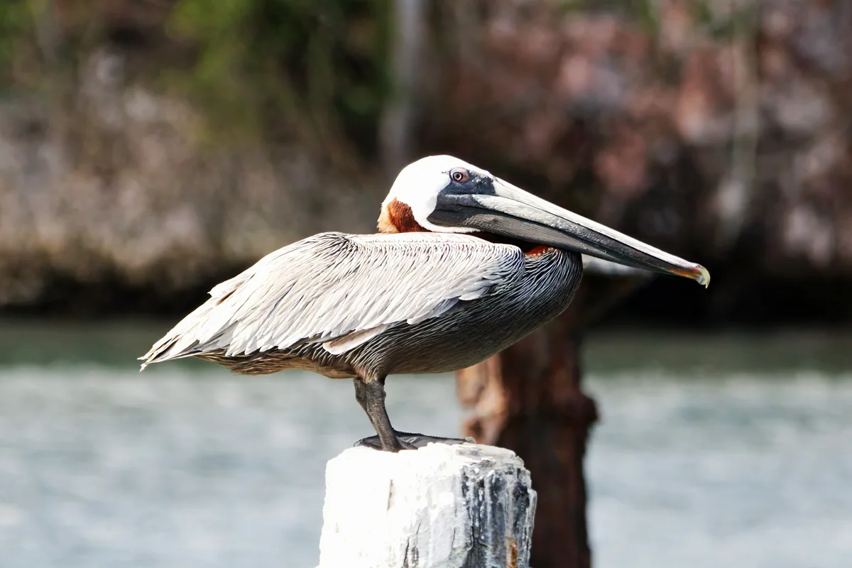 Parcs nationaux en République dominicaine