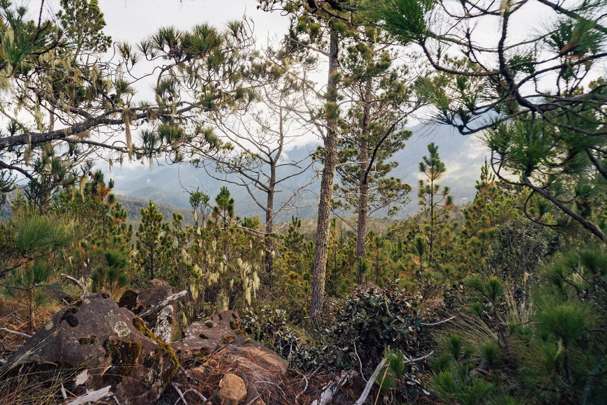 Parcs nationaux en République dominicaine