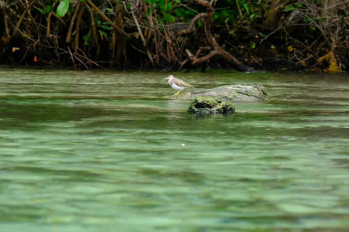 Parcs nationaux en République dominicaine