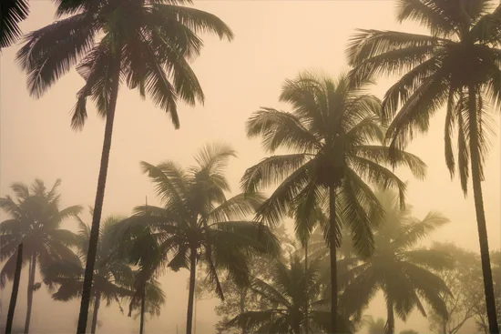 Parcs nationaux en République dominicaine