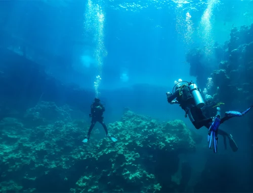 Plongée sous-marine en République dominicaine