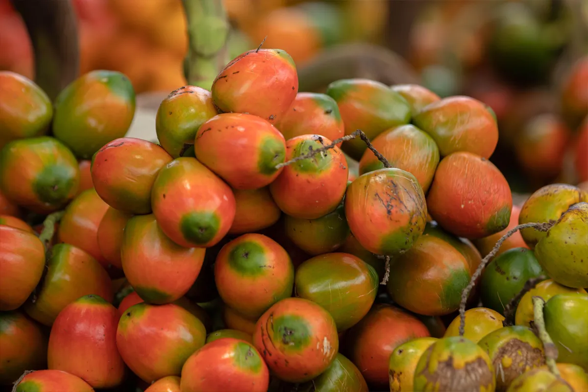 Fruits en Colombie