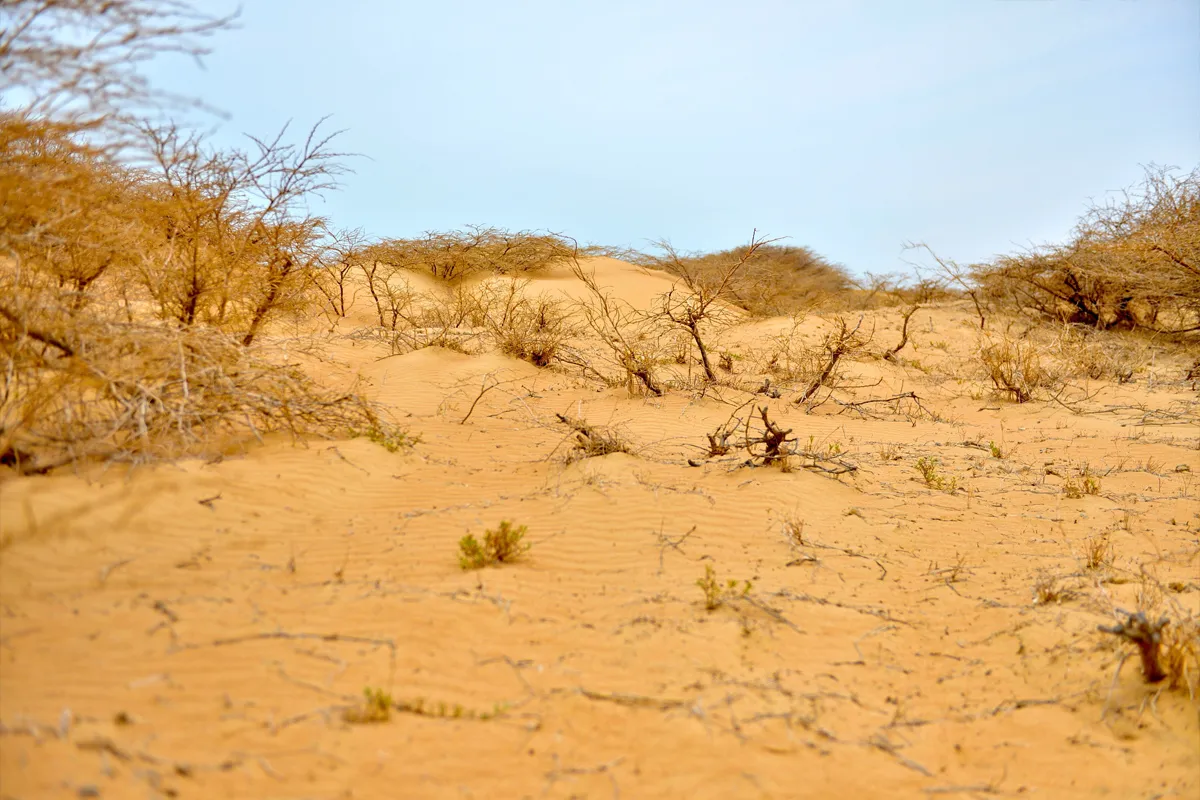 La Guajira en Colombie