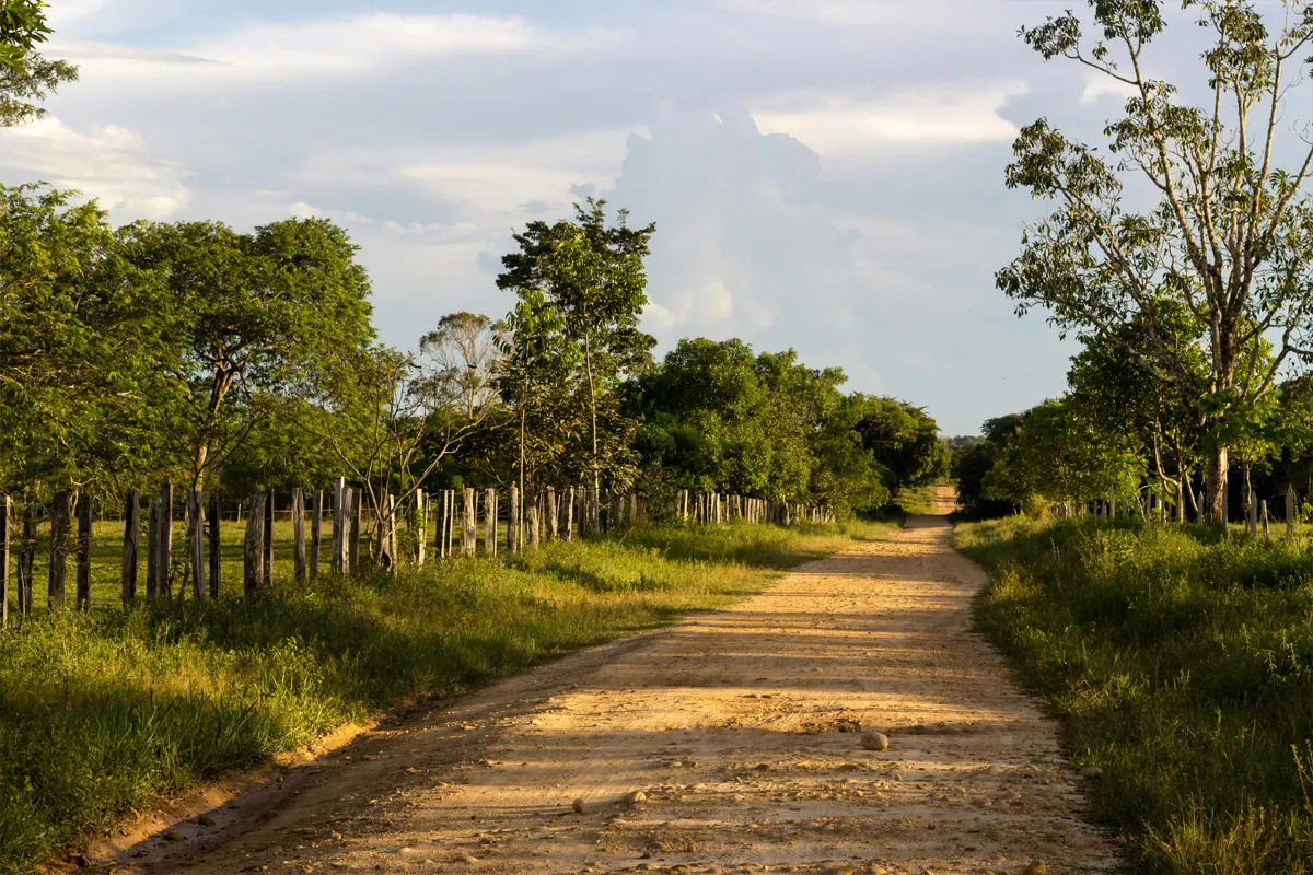 Les Llanos en Colombie